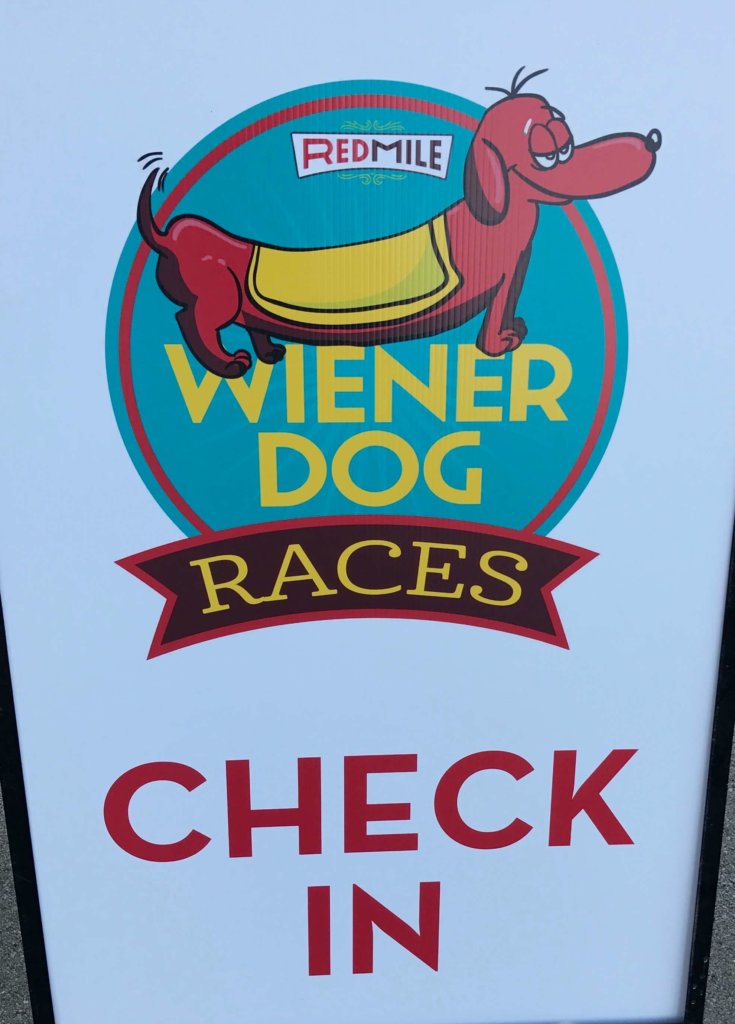 The Great Wiener Dog Race Curious Craig