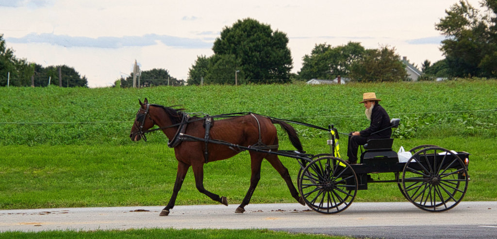 What Is Amish Ascension Day
