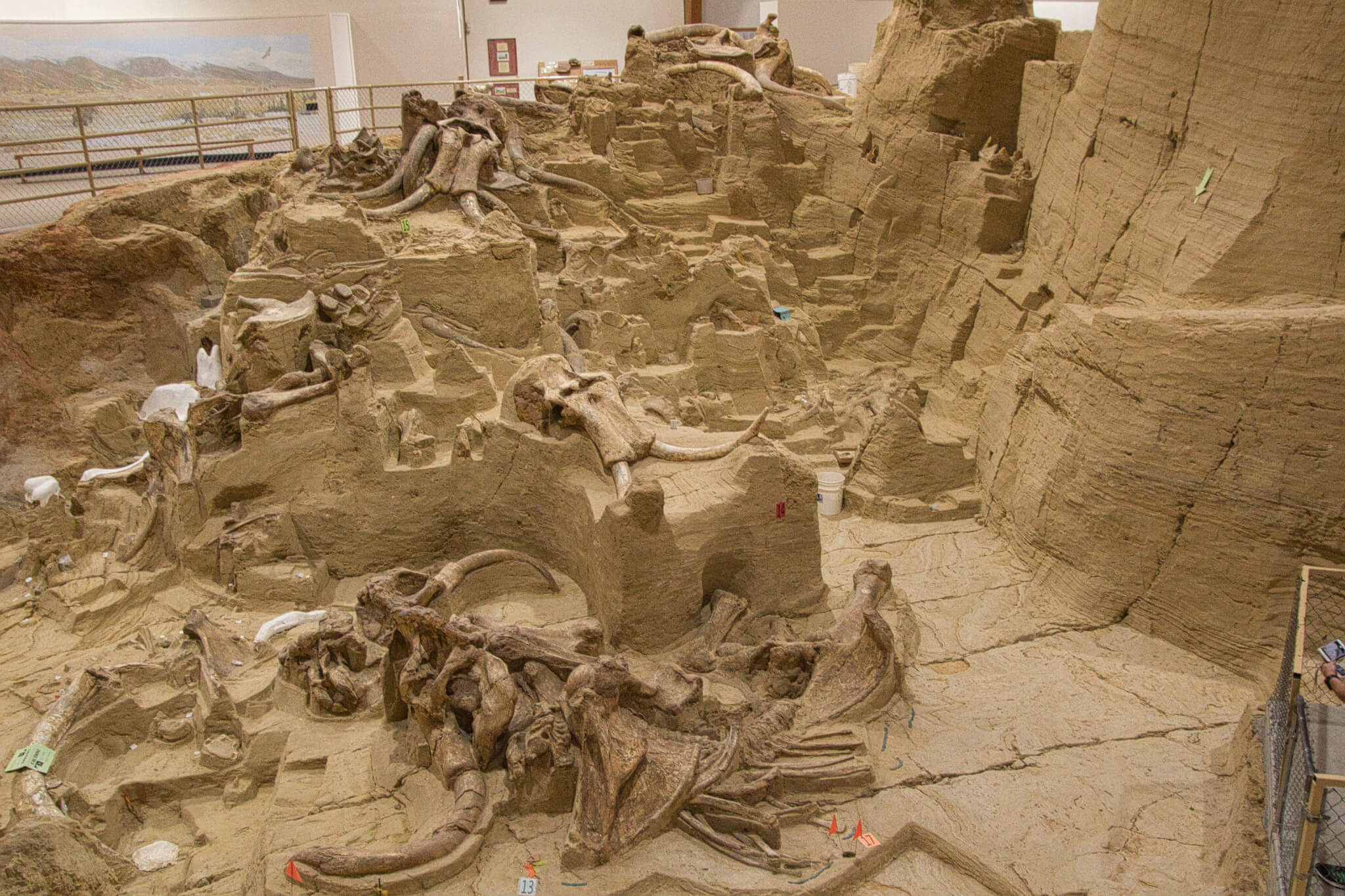 amateur archeology dig south dakota